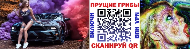 Купить закладки  Лихославль  Галлюциногенные грибы Psilocybe 