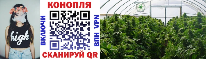 Марихуана Bruce Banner Лихославль